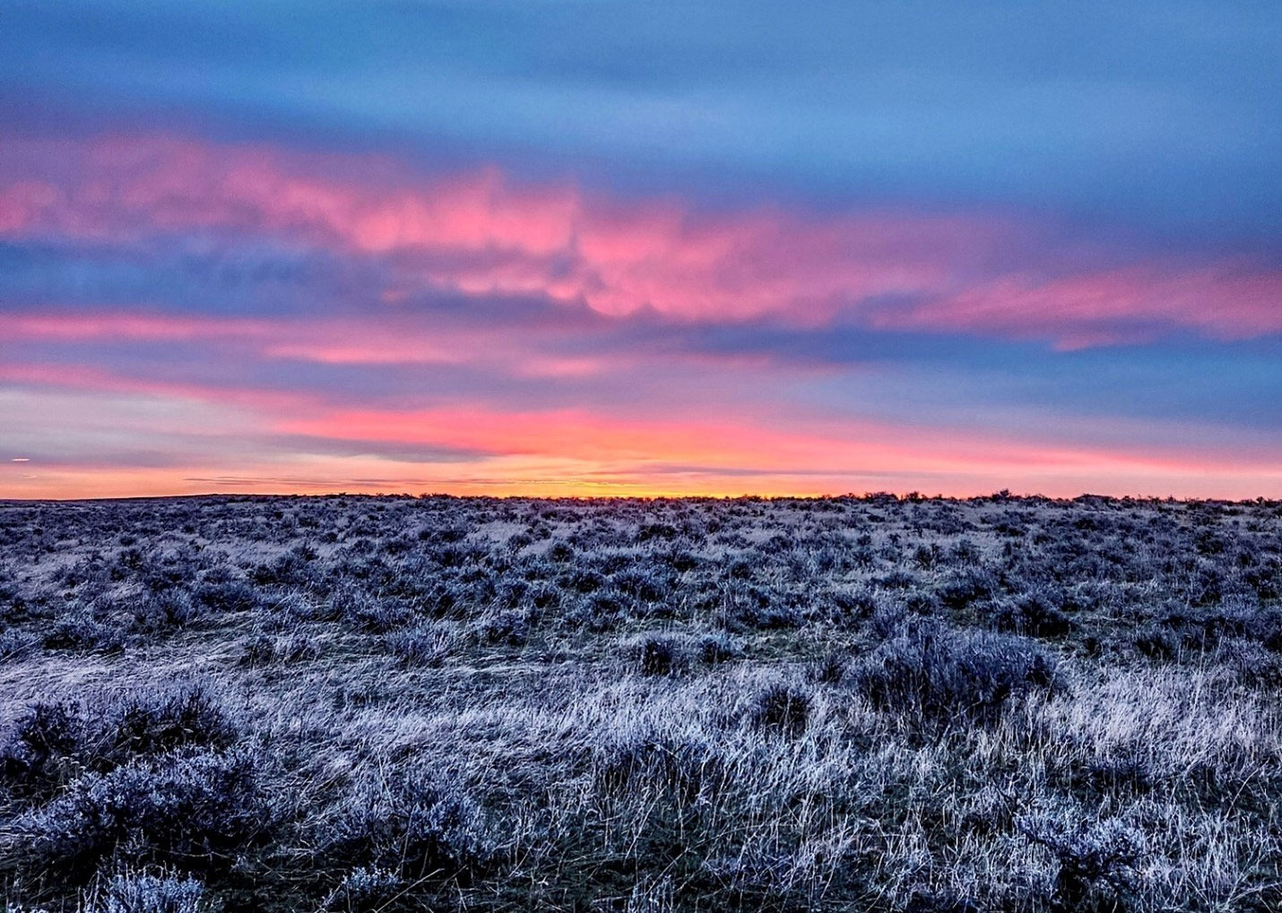 Frosty prairie