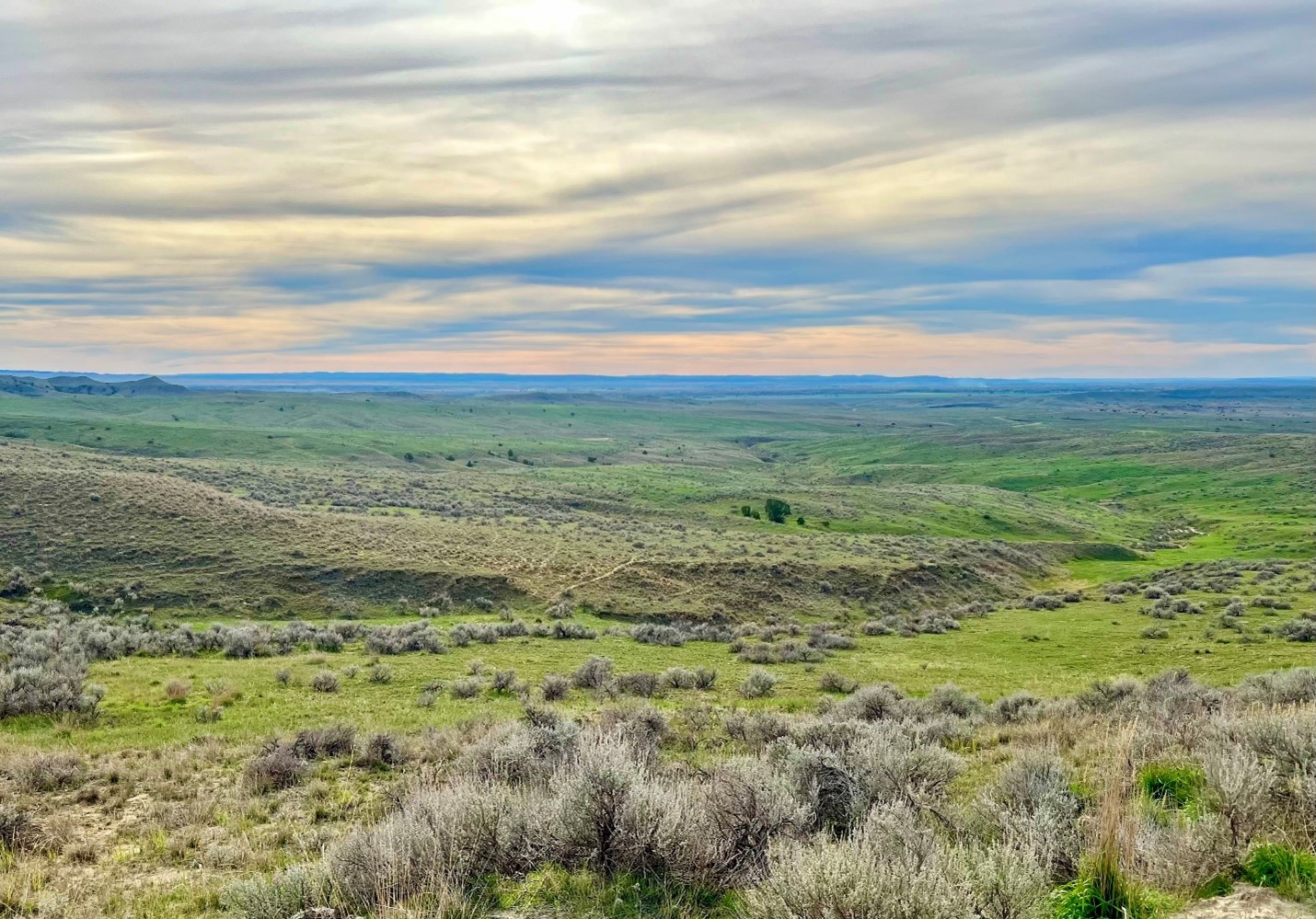 Prairie landscape