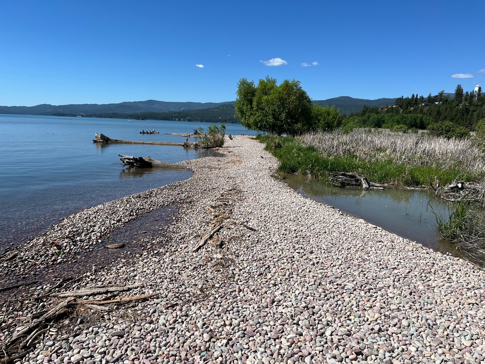 Somers Beach in summer